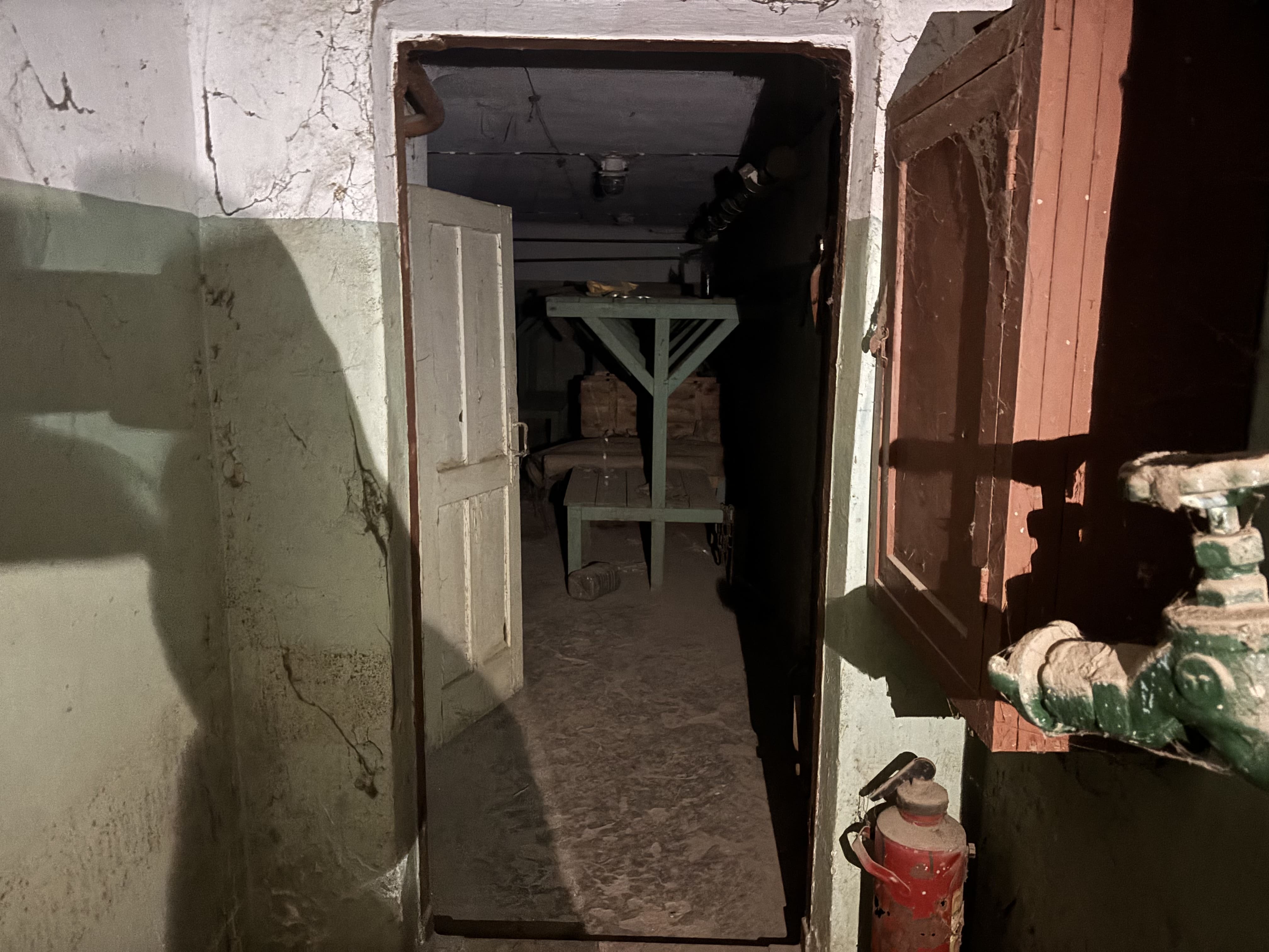 Нежилое помещение, общей площадью 102,5 кв.м., расположенное по адресу: Астраханская область, г. Астрахань, р-н Трусовский, ул. Ветошникова, д. 1 а; РНФИ: П12320001547, кадастровый номер 30:12:000000:2853