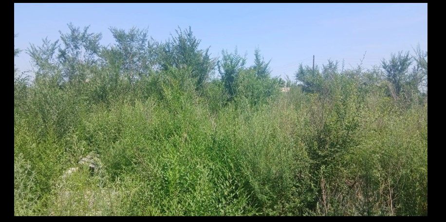 Продажа находящегося в федеральной собственности земельного участка площадью 29 011 кв. метров (кадастровый номер 19:02:010702:498), адрес: Российская Федерация, Республика Хакасия, г.о. город Черногорск, г. Черногорск, ул. Бограда, з/у 3Л, для иного строительства