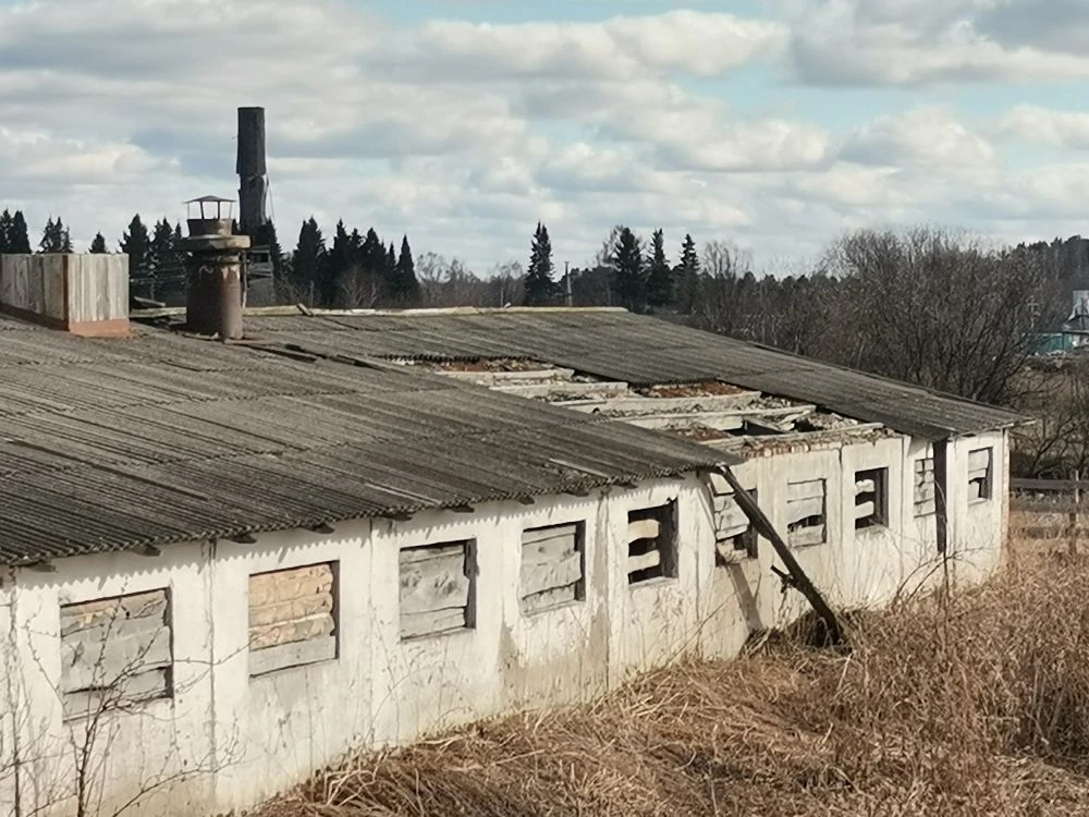 Здание молодняка на 336 голов, назначение: нежилое, общей площадью 1 051,5 кв.м., кадастровый номер 55:28:000000:3608, 1977 года постройки, расположенного по адресу: Омская область, Тевризский район, р.п. Тевриз, ул. Фермерская, д. 3