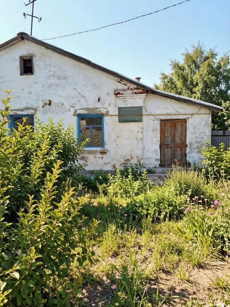 Помещения ФАП в здании библиотеки, площадь: 31,6 кв. м, по адресу: Курганская область, Щучанский район, с. Нифанка, ул. Октябрьская, д. 46, помещение 1