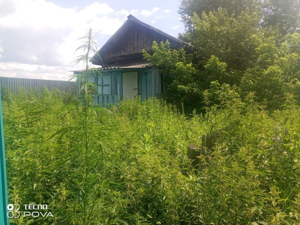 Здание фельдшерско-акушерского пункта, площадь: 26,2 кв. м одновременно с земельным участком по адресу: Курганская область, Юргамышский муниципальный округ, д. Раздольная, ул. Центральная, 16