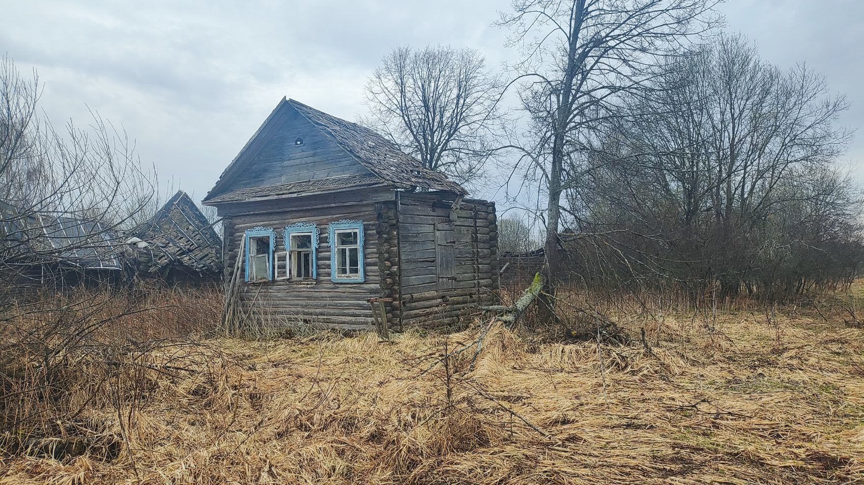 Жилой дом, признанный непригодным для проживания, с кадастровым номером 69:10:172201:190 и земельный участок с кадастровым номером 69:10:0172201:188 по адресу:Тверская область, муниципальный округ Калининский, деревня Нестерово, дом 50
