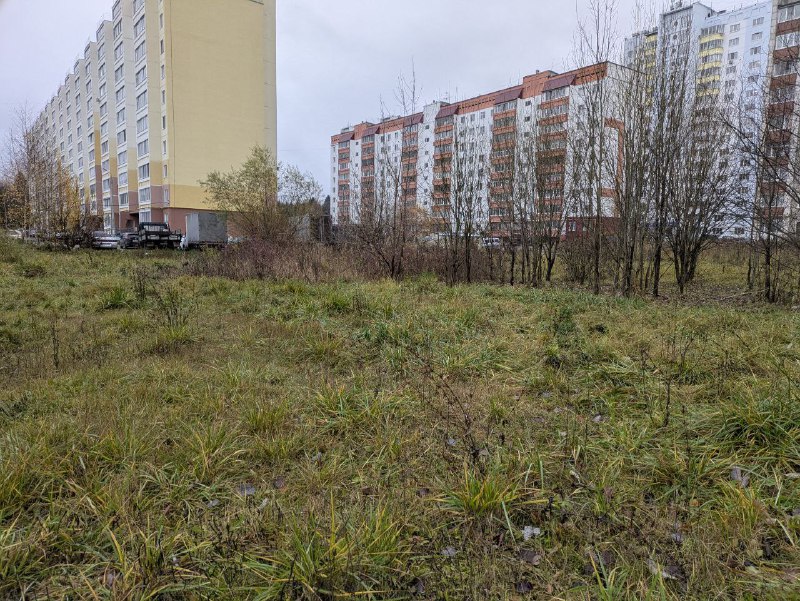 Право заключения договора аренды земельного участка, государственная собственность на который не разграничена, с кадастровым номером 59:01:3810202:3827 площадью 2594 кв. м, расположенного по адресу: Российская Федерация, Пермский край, городской округ Пермский, город Пермь, улица Генерала Черняховского, з/у 53а, для строительства многоквартирного дома. Разрешенное использование земельного участка – среднеэтажная жилая застройка.