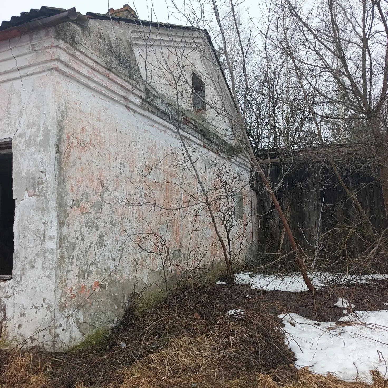 Здание магазина и земельный участок