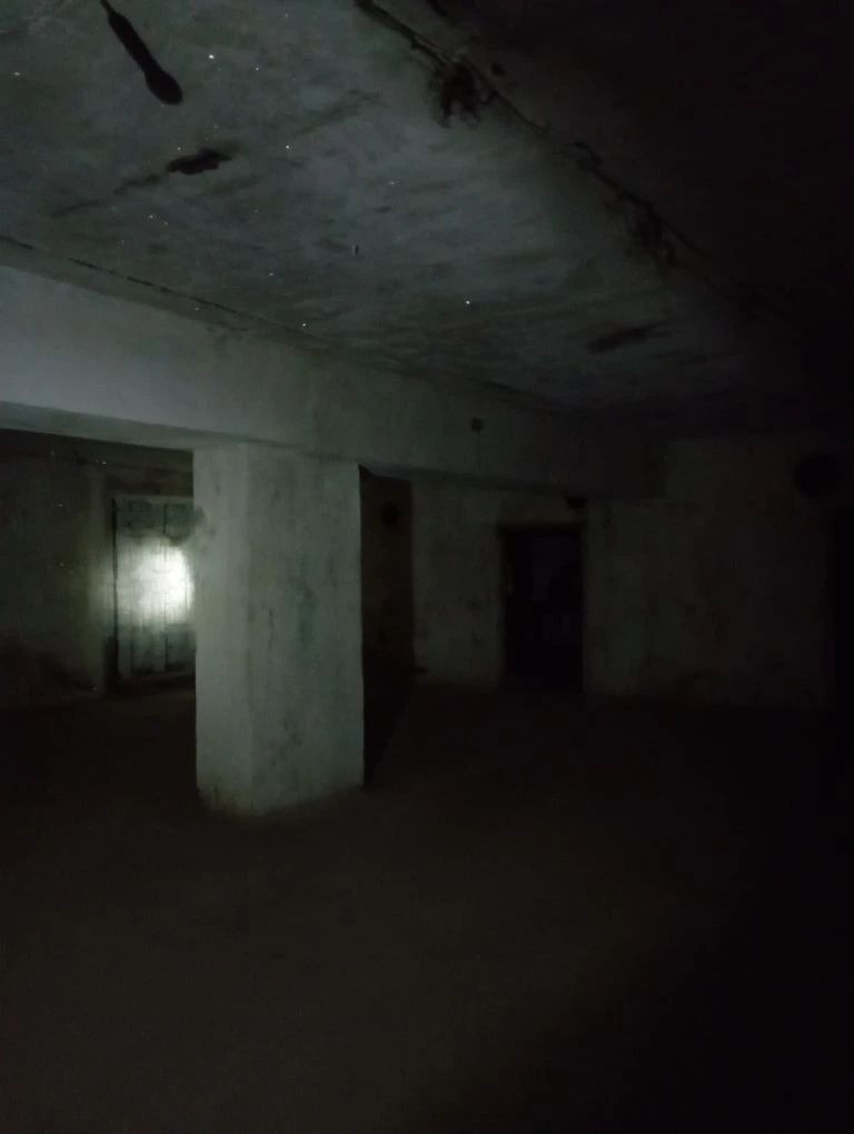 Лот № 2