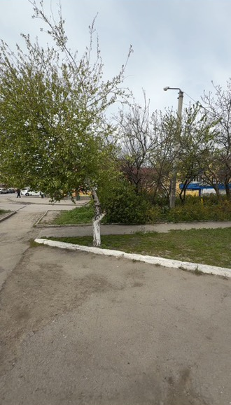 Место для размещения НТО по адресу: Ростовская область, город Гуково, ул. Комсомольская, 53