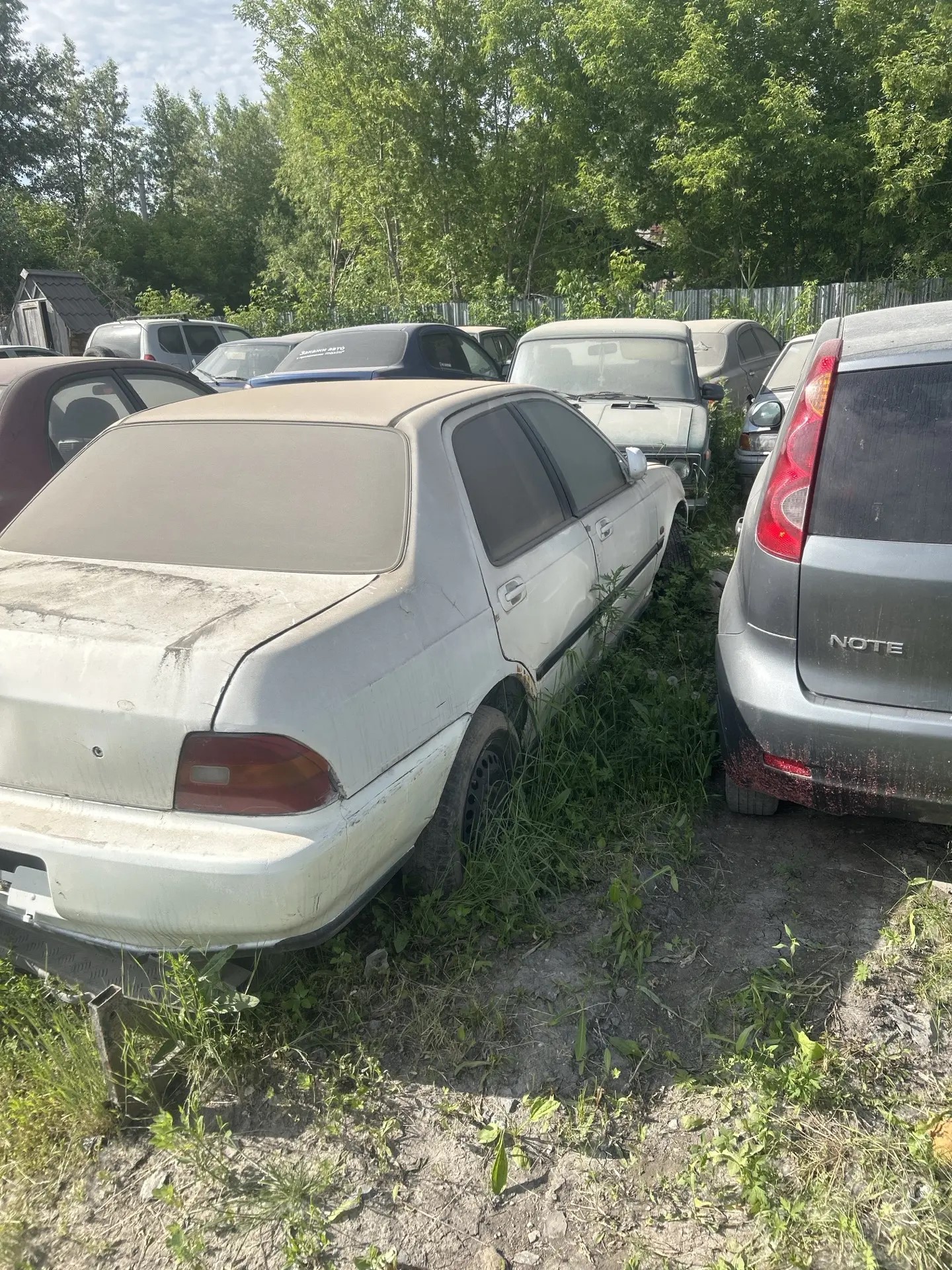 Автомобиль Honda Domani, г/н Р860ХК124, г.в. не установлен, № кузова МВ31301072, комплектность и состояние не проверялась данное имущество обращено в доход государства, находится в г. Ачинск(Документы отсутствуют)