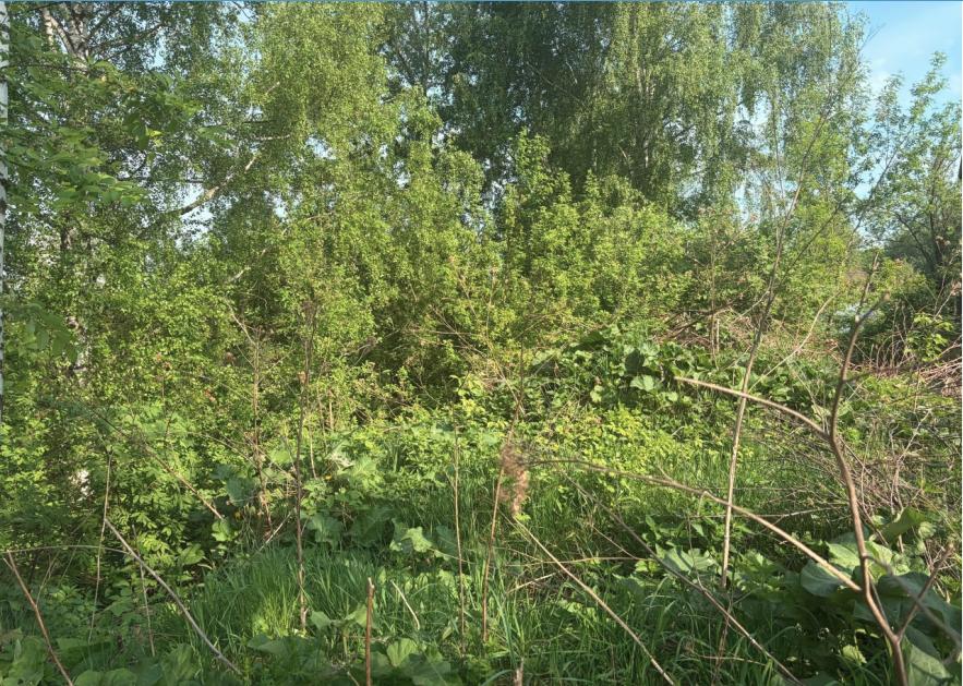 Право заключения договора аренды земельного участка, государственная собственность на который не разграничена, с кадастровым номером 59:01:0000000:98105 площадью 2000 кв. м, расположенного по адресу: Российская Федерация, Пермский край, городской округ Пермский, город Пермь, улица Постаногова, з/у 54, для индивидуального жилищного строительства. Разрешенное использование земельного участка – для индивидуального жилищного строительства.