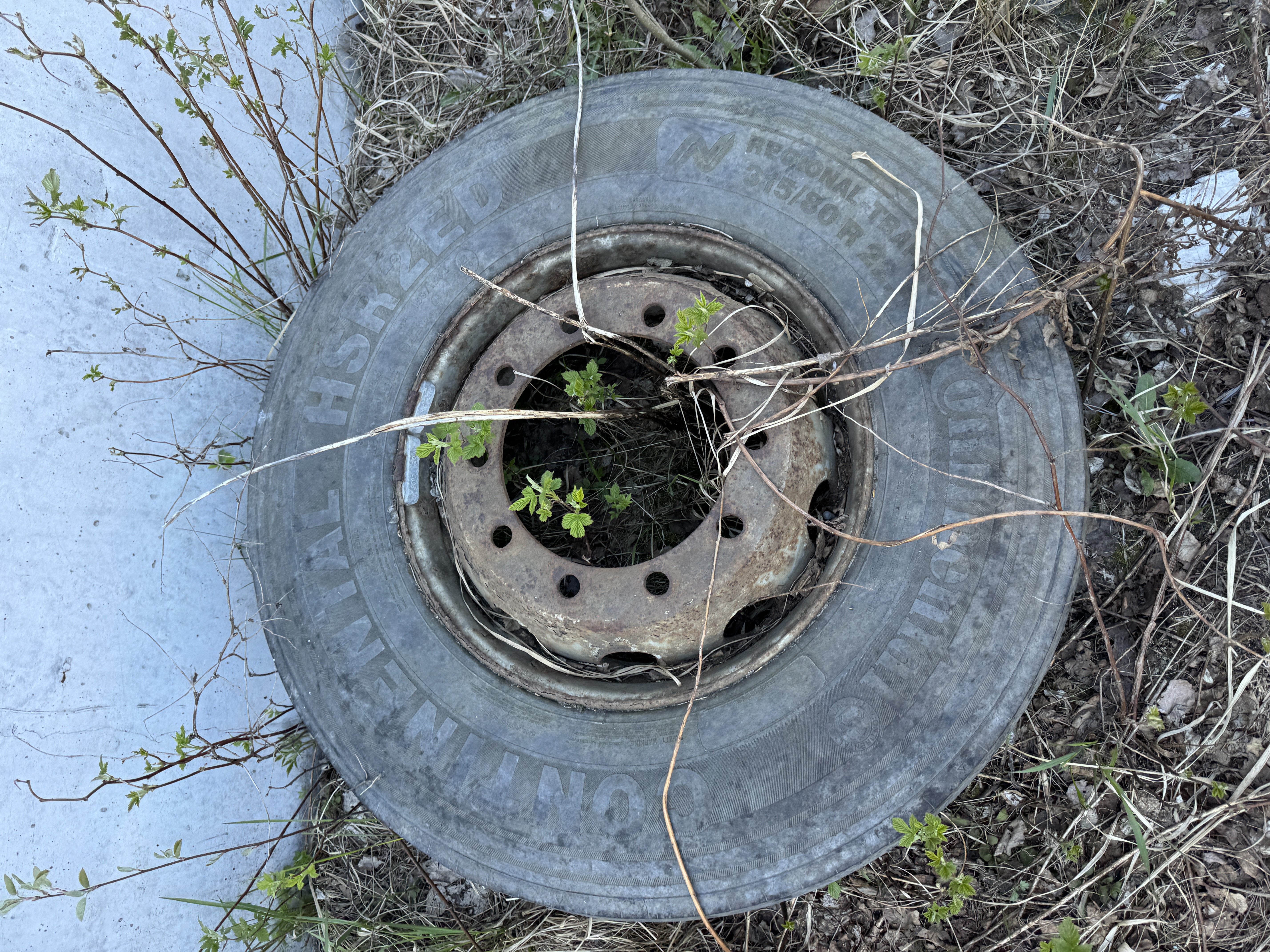Автозапчасти