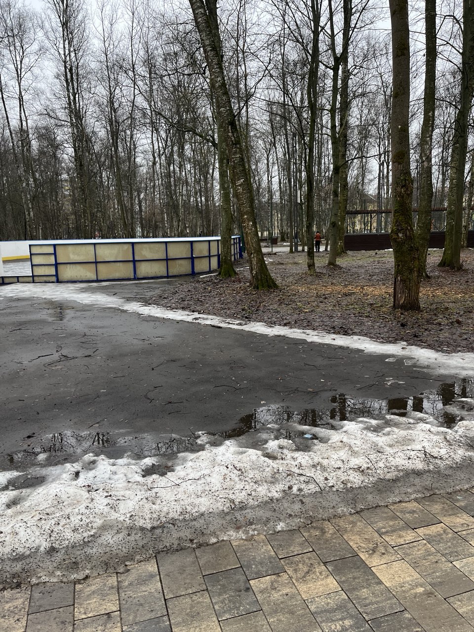 Право на размещение объекта бизнеса на территории парка городского округа Лобня Московской области