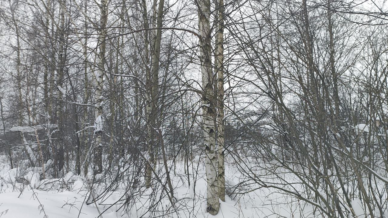 Аукцион в отношении земельного участка с КН 50:23:0030302:1492
