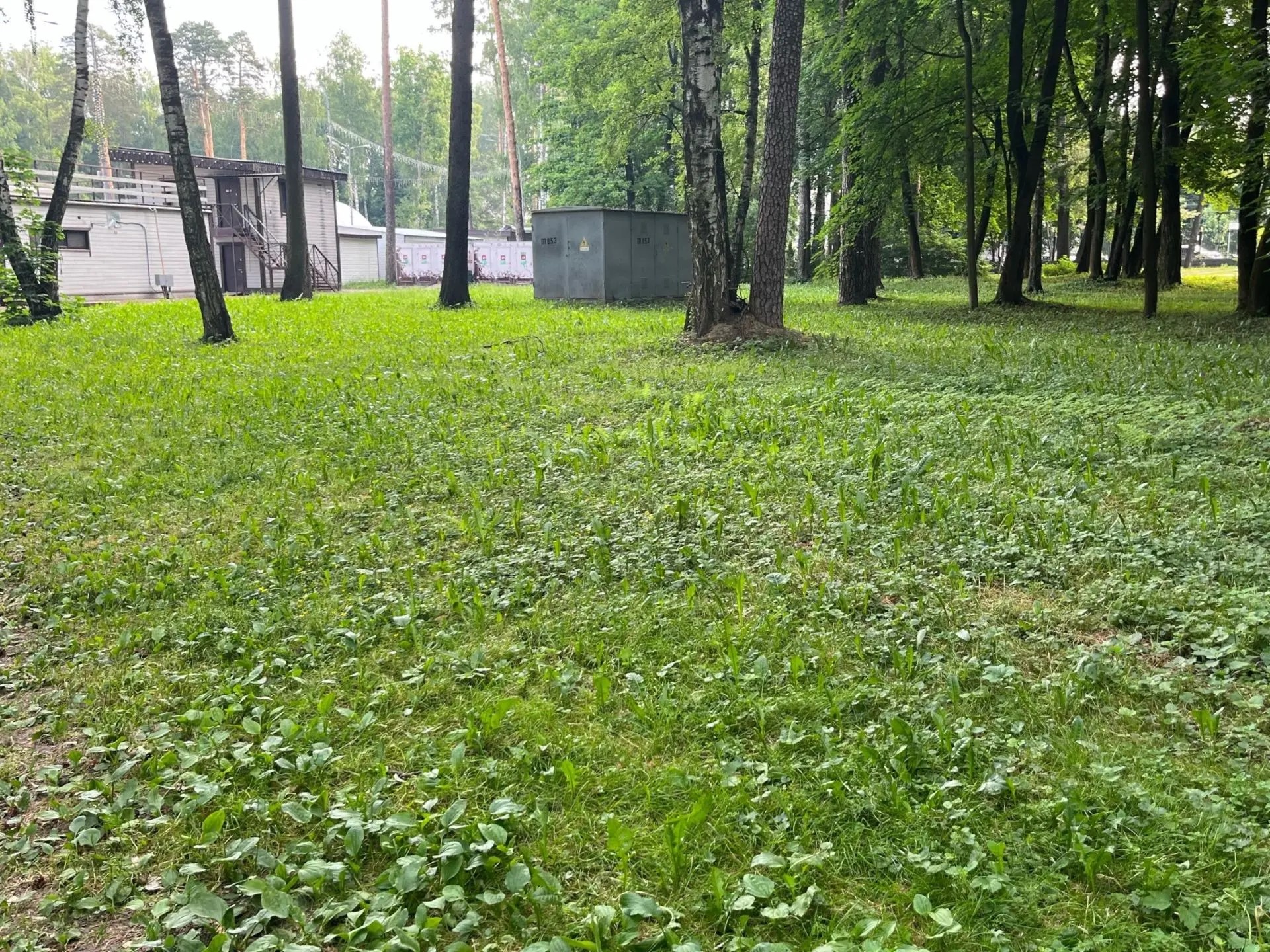 Право на размещение аттракционов
