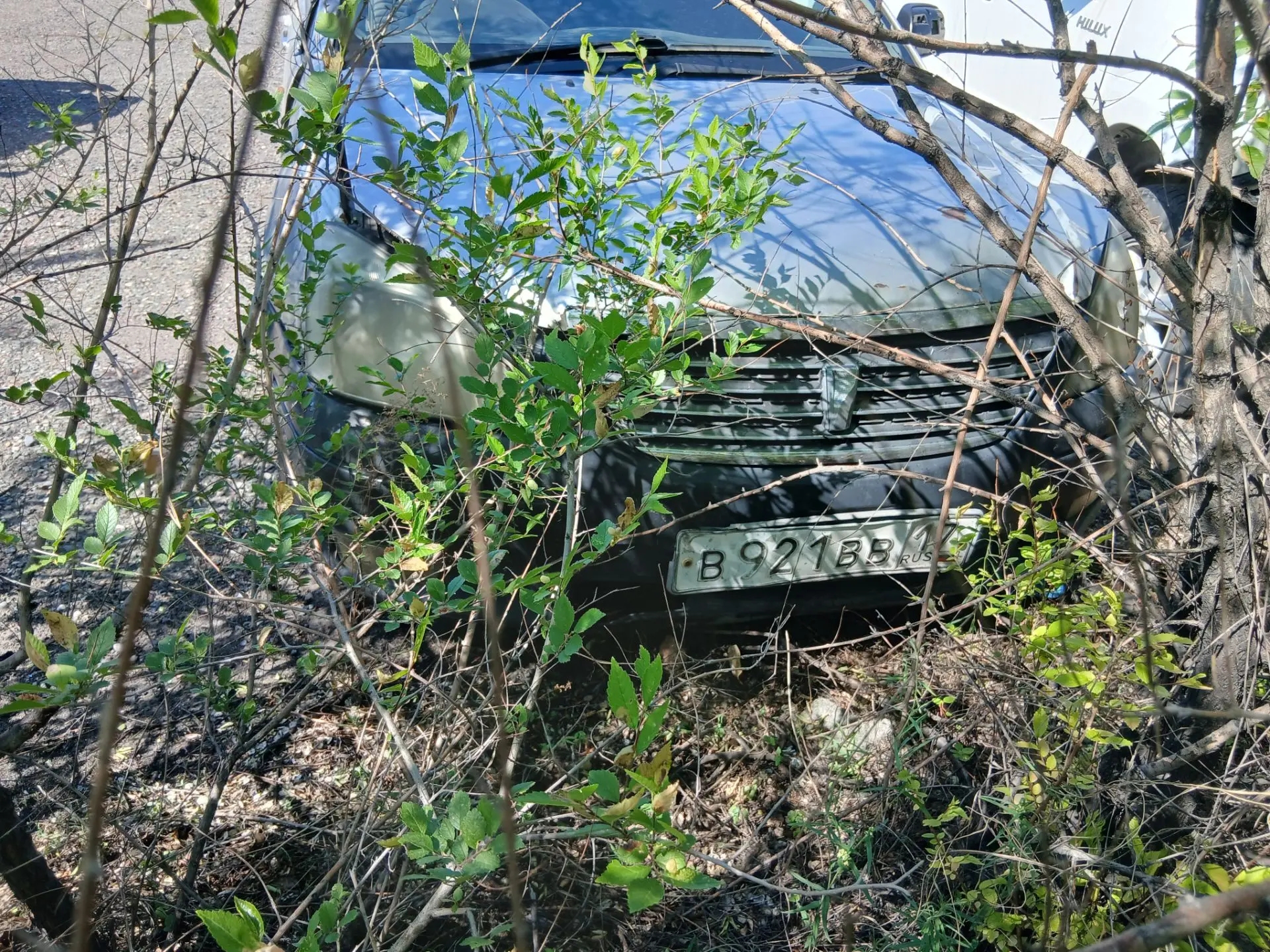 Транспортное средство марки «Toyota Premio», 2002 г.в., государственным регистрационным знаком В921ВВ17.