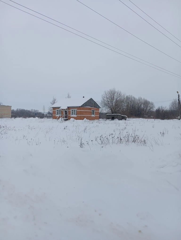 Основное строение