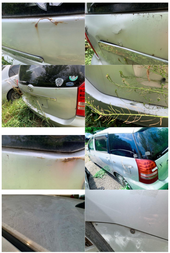 Toyota Camry, г/н Е013ХЕ54; Toyota Corona, г/н А126СХ96; ВАЗ 21140, г/н В381ОЕ122; Toyota Vista, г/н А939НС22; HYUNDAI Starex, г/н А108ХТ122; ВАЗ 21120, без г/н, Toyota Carina, г/н А906РЕ122; Nissan Sunny, г/н Е825АН122; ВАЗ 21099, г/н Х241УУ22; Шевроле Нива, г/н В785ТМ22; Nissan Sunny, г.н. Х875ХК22 - (Г/О); ВАЗ 2109, г/н А396РВ22; Toyota Mark II, 1993 г/в; ВАЗ 21074, г/н О231ЕЕ22; Mazda 6, г/н А283ТУ154; ВАЗ -21099, 1995 г.в., г/н К592ТР (Детальное описание лота - указано в пункте 3 Извещения)