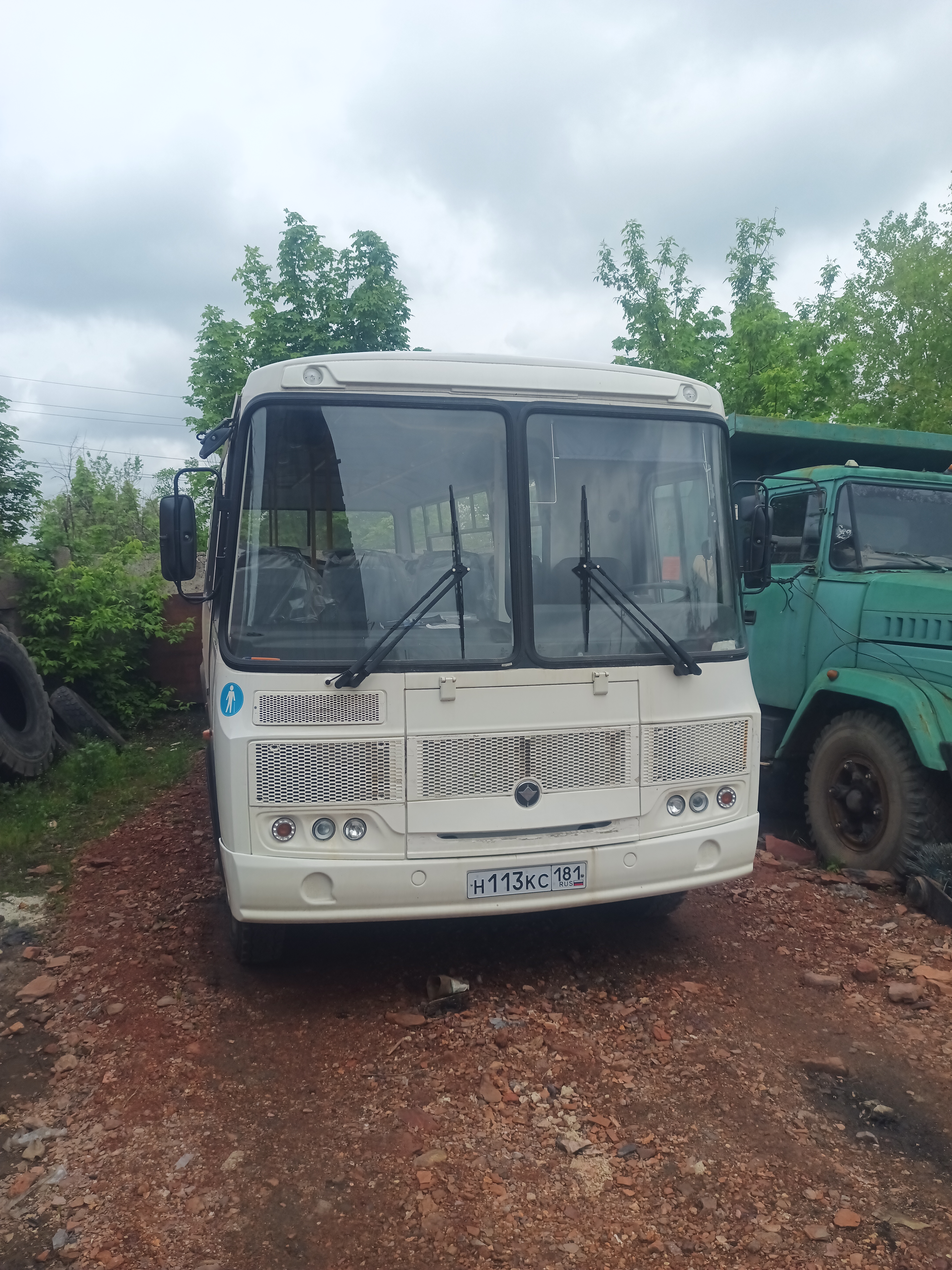 Автобус ПАЗ 4234-04 Идентификационный номер VIN X1M4234EOTS000342 регистрационный знак Н113КС181 2025 года выпуска, техническое состояние: хорошее, тип двигателя: дизельный, категория ТС: D, мощность двигателя: 169 л. с., расположение руля: левый руль, объем двигателя: 4433 куб. см