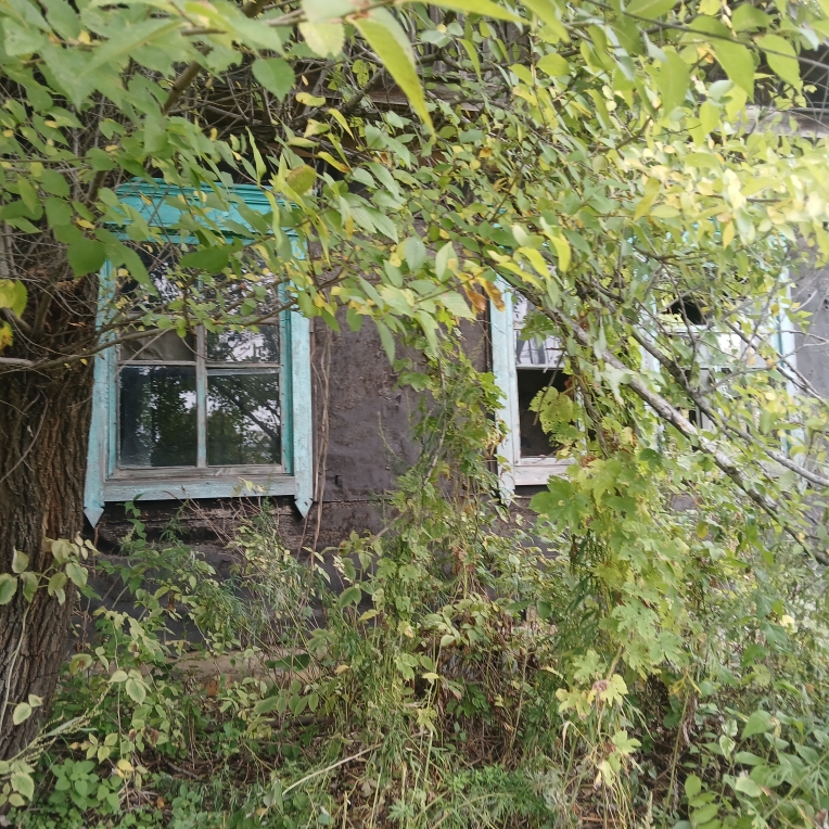 Жилое помещение (квартира), общей площадью 21,8 кв.м., расположенное по адресу: Амурская область, г. Завитинск, ул. Куйбышева, д. 54, кв. 2