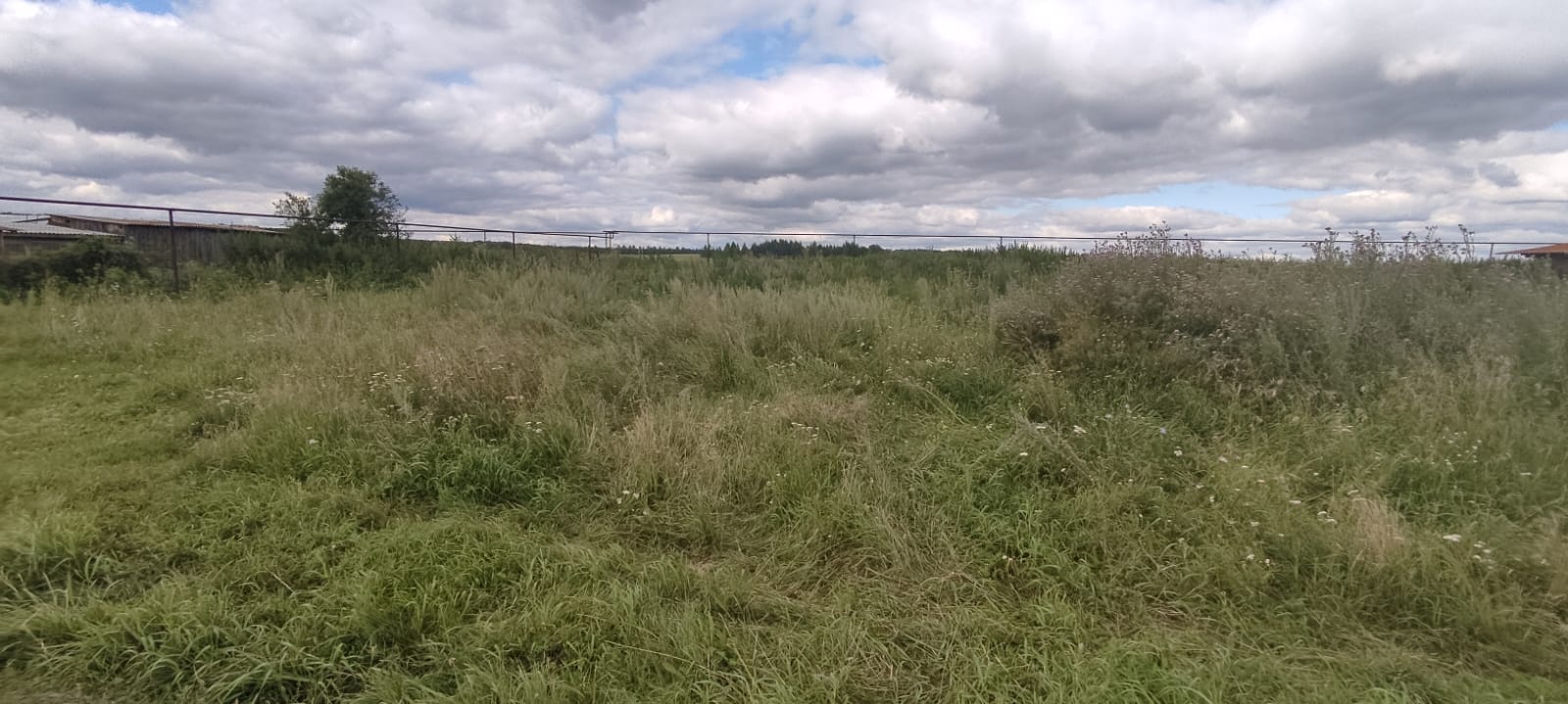 Предоставление земельного участка в аренду для ИЖС на 20 лет, с кадастровым номером 74:26:1400001:58,село Борисовка, улица Заречная, земельный участок 5А
