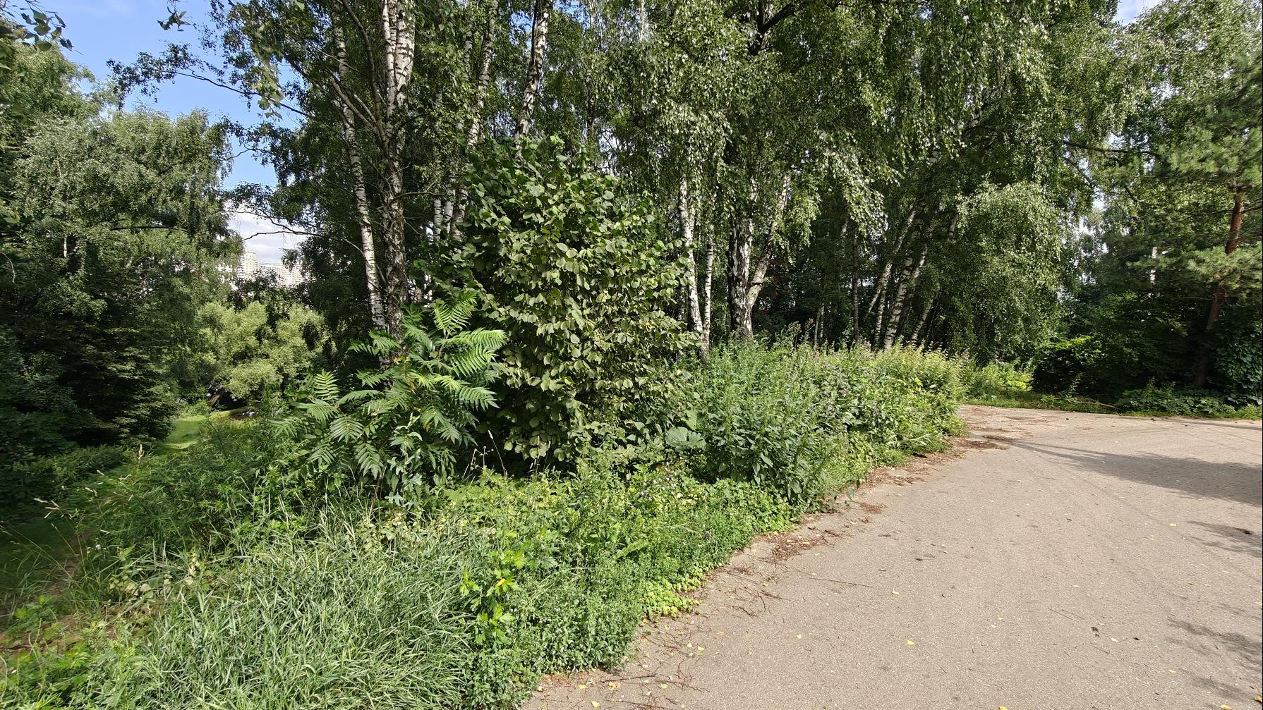 Аукцион в отношении земельного участка с КН 50:21:0080303:1665