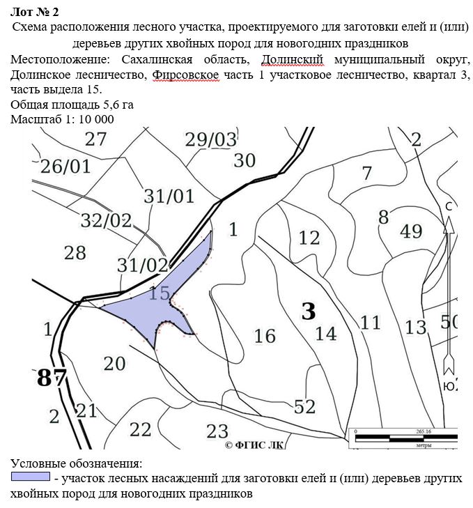 Право заключения договора купли-продажи лесных насаждений для заготовки елей и (или) деревьев других хвойных пород для новогодних праздников в границах земель лесного фонда Долинского лесничества