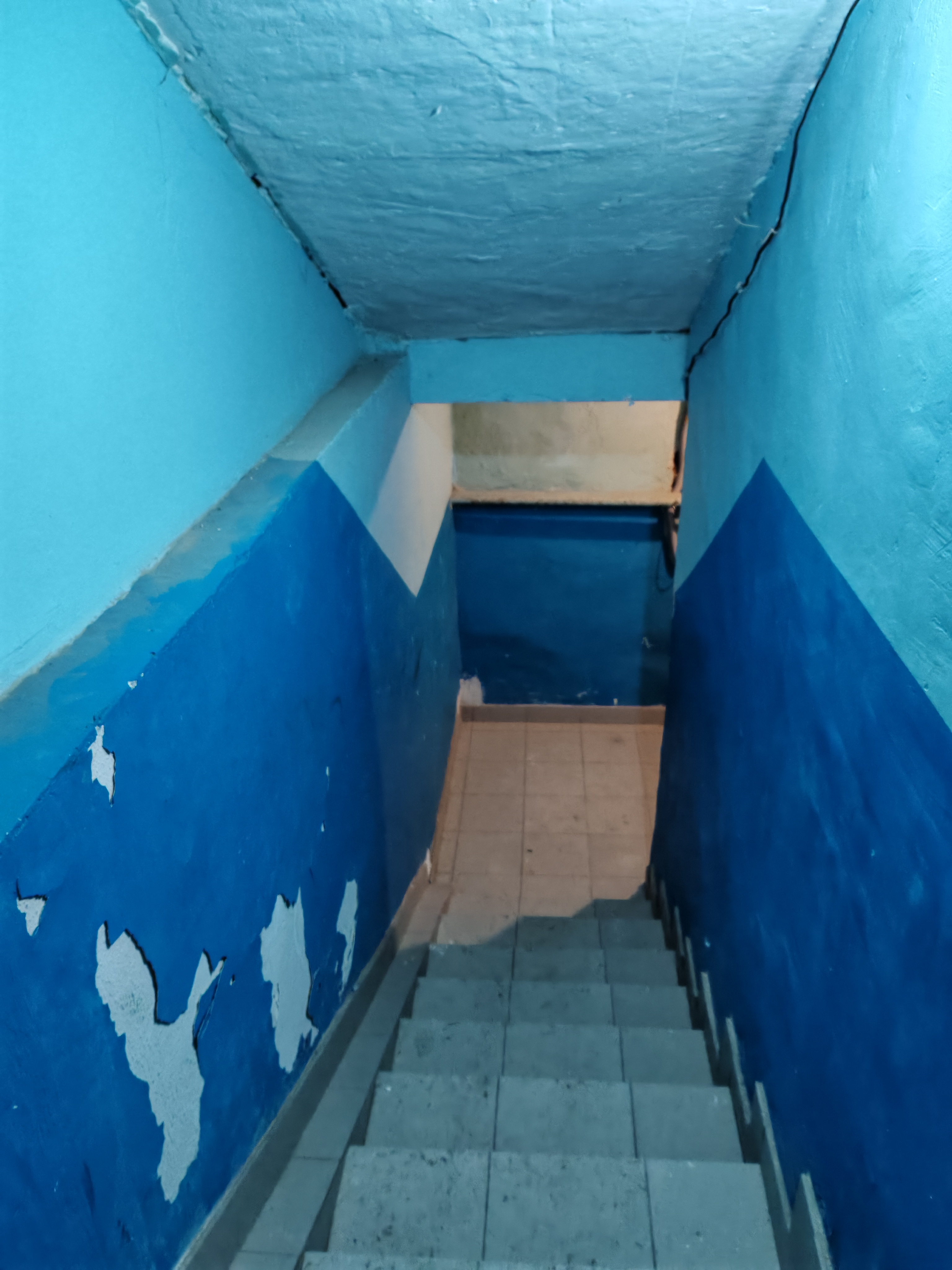 Нежилое помещение Н2 в подвале общей площадью 322,3 кв.м             по ул.Островского, 31 с кадастровым номером 22:63:000000:1149