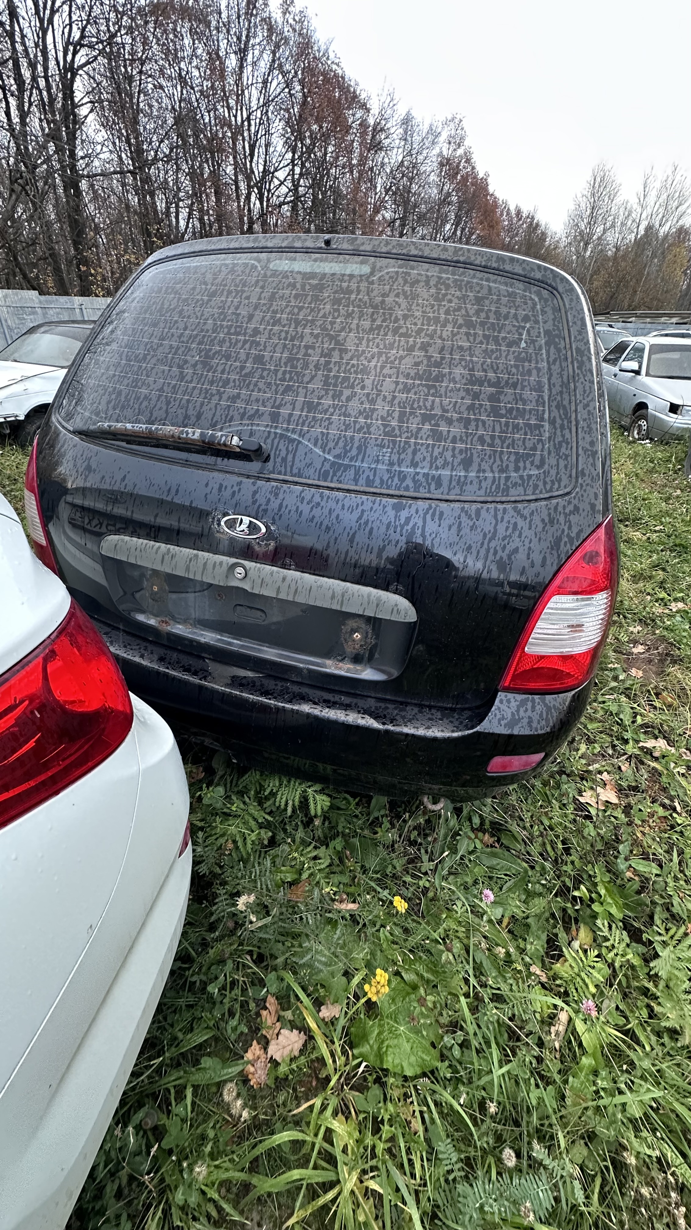 Единый лот: 9 транспортных средств: автомобиль марки LADA 111730 Kalina без государственного регистрационного знака, VIN XTA111730А0069116, номер кузова ХТА111730А0069116, черного цвета, 2010 года выпуска (21-007342) (полное описание в извещении). На транспортные средства наложены ограничения (арест и/или залог, информация размещена на официальных сайтах https://гибдд.рф, https://www.reestr-zalogov.ru/search).