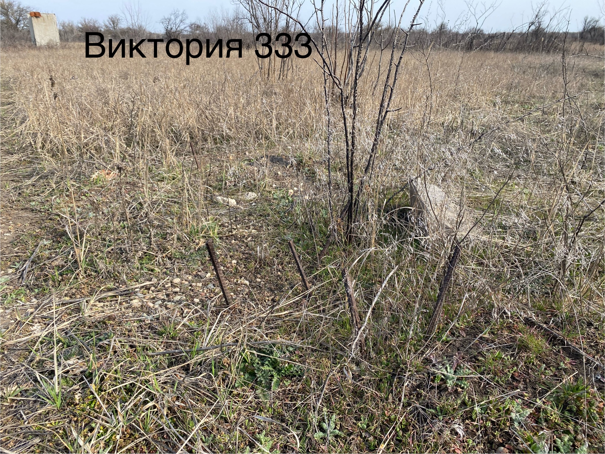 Продажа права на заключение договора аренды земельного участка, расположенного в г. Ейске, СТ «Виктория», участок 333