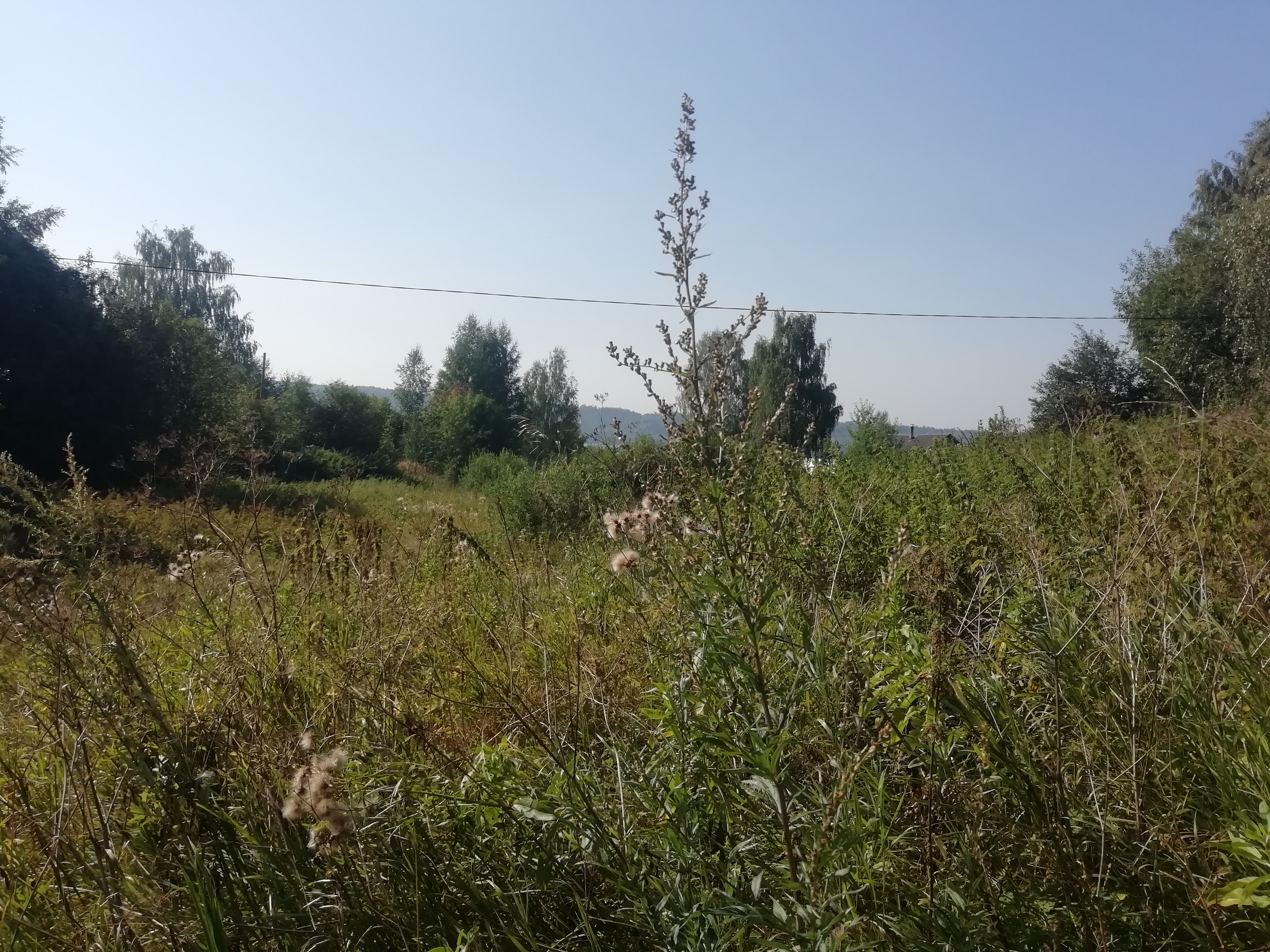 право заключения договора аренды