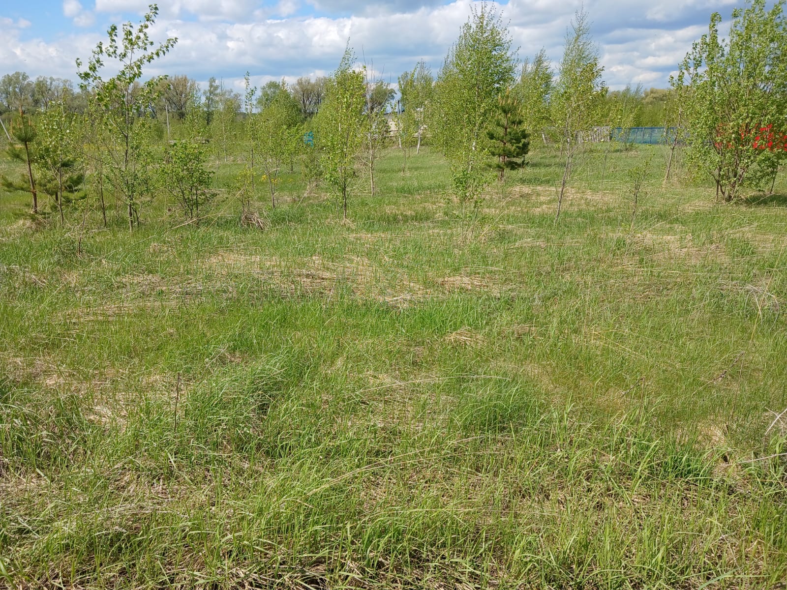 Земельный участок общей площадью 1500 кв.м, расположенный по адресу: Республика Башкортостан, Краснокамский р-н, с/с Никольский, с. Никольское, ул. Яблоневая, д. 13