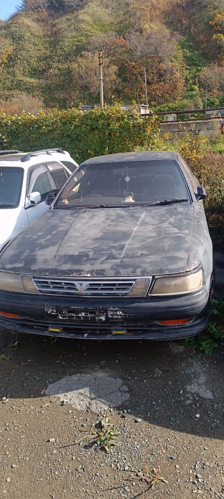 Автомобиль марки “Toyota Vista”, Государственный номер М 916 РС 65