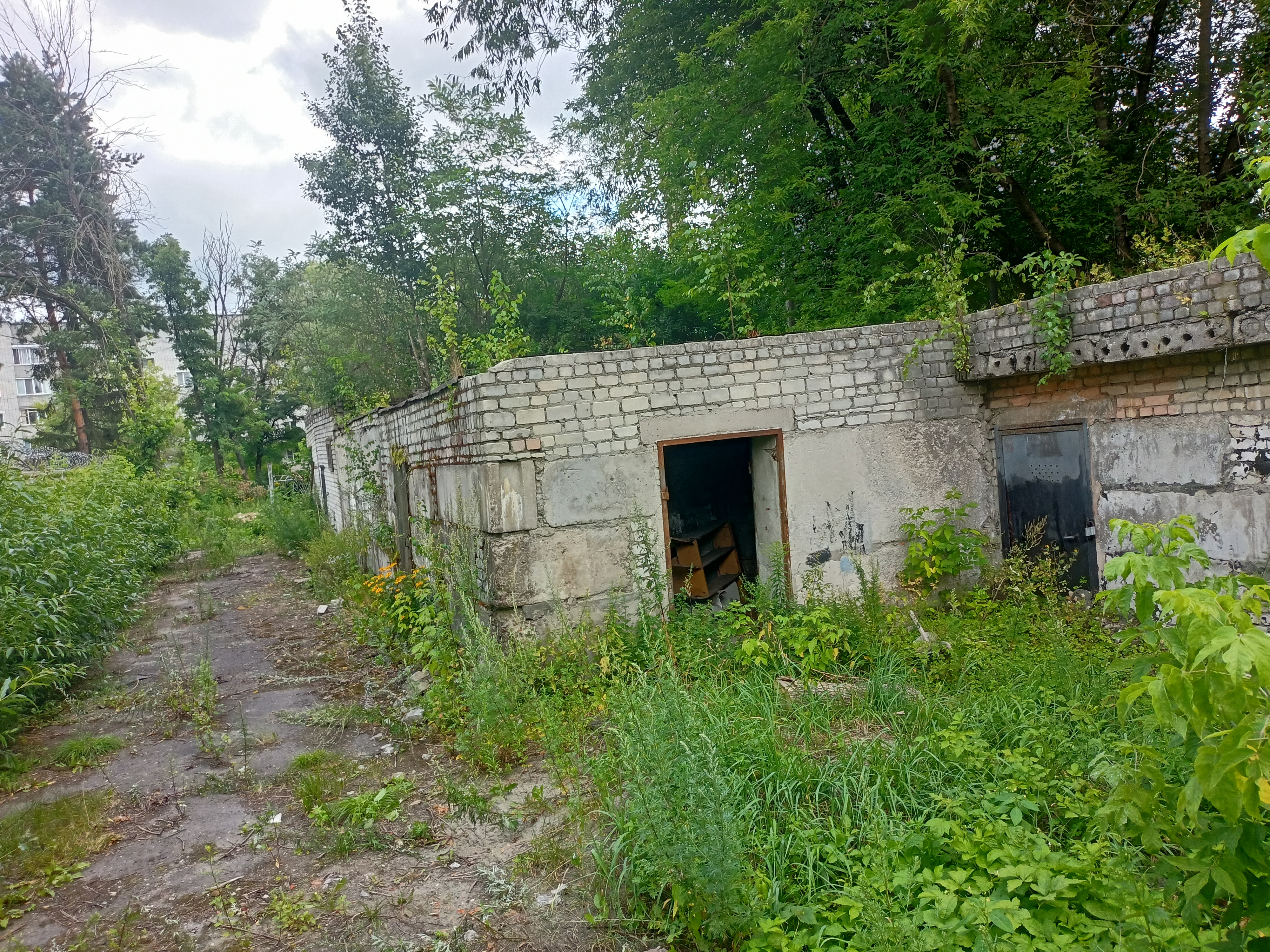 муниципальное нежилое здание площадью 196,7 кв.м, кадастровый номер 32:28:0021315:382, с земельным участком, необходимым для его использования, с кадастровым номером: 32:28:0021315:25, площадью 830 кв.м, с видом разрешенного использования: бытовое обслуживание, расположенные по адресу: Брянская область, городской округ город Брянск, город Брянск, улица Клары Цеткин, строение 12 В