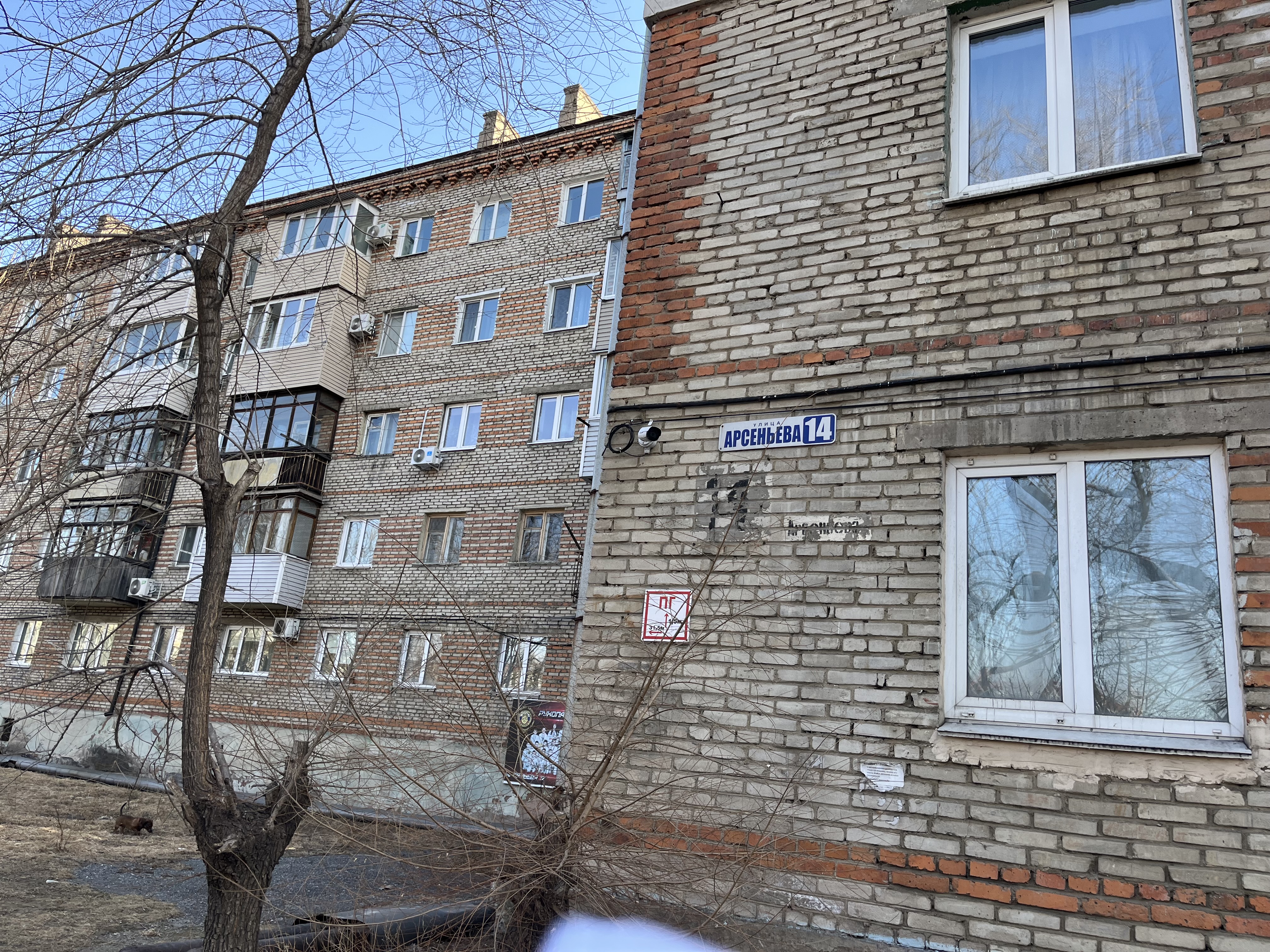 Нежилые помещения в здании (жилой дом, лит. 1) общей площадью 40,5 кв.м, этаж 1, кадастровый номер 25:31:010205:6201, расположенное по адресу: Приморский край, г. Находка, ул. Арсеньева, д. 14, пом. XV
