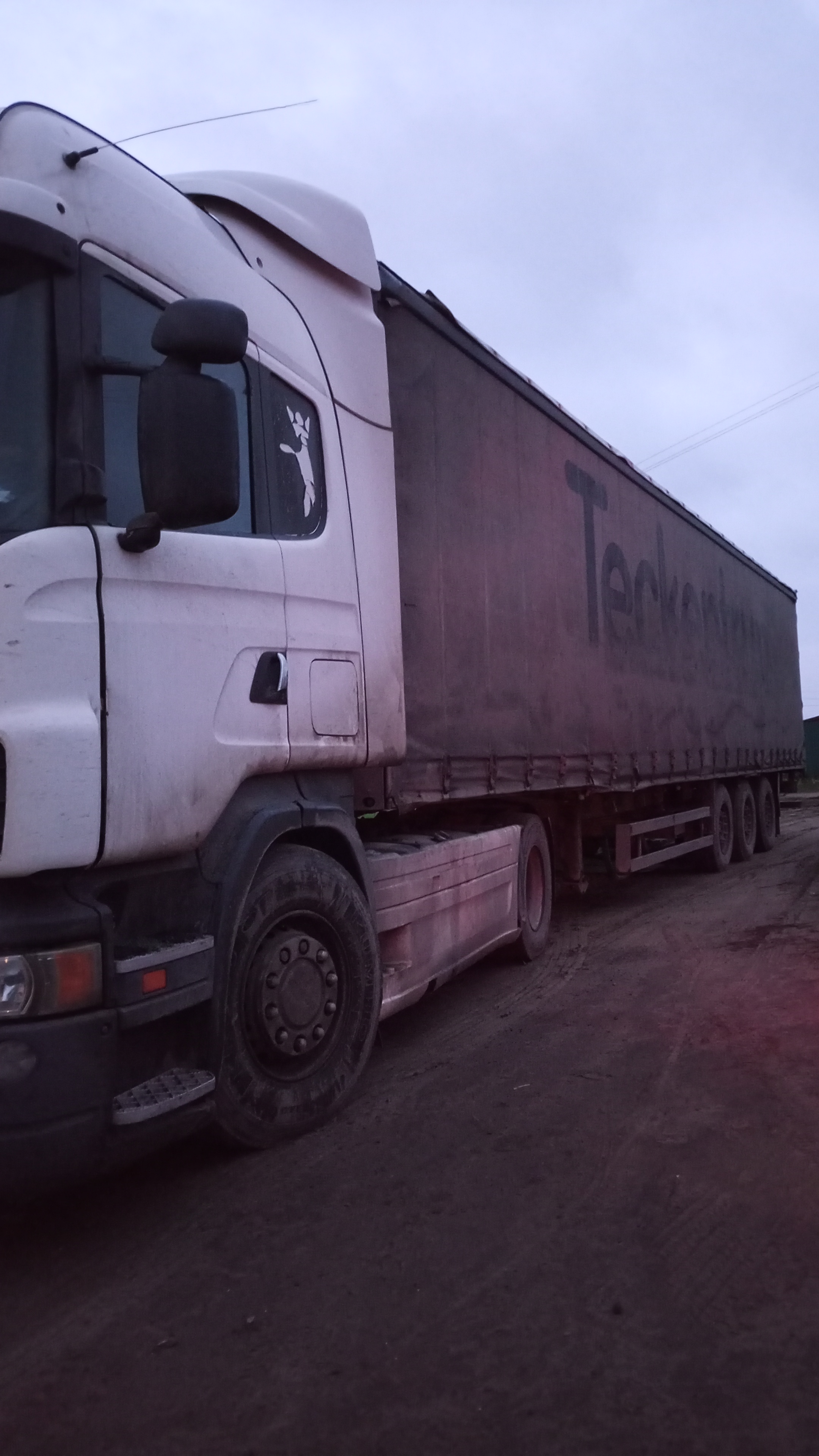 Грузовой тягач седельный SCANIA R420LA 4X2 HNA, 2007 г.в., г/н B668KT761, VIN YS2R4X20002024712, белого цвета, на ходу, должник Санин П.П., (Поручение ТУ Росимущества в РО от 25.02.2026 № 61-246-У). Адрес (местоположение): Ростовская область, ст. Красноярская, ул. Набережная, д. 81.