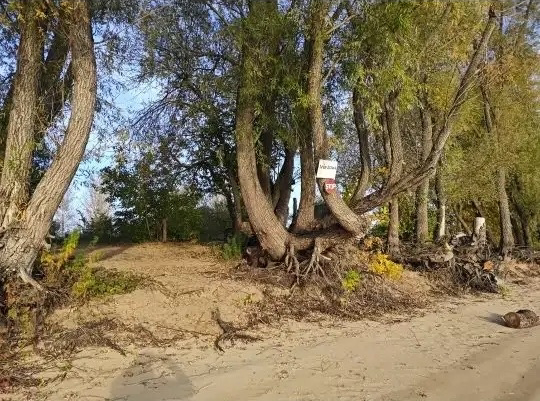 Земельный участок, площадью 10000 кв.м., кадастровый номер: 64:08:020805:240, расположенный по адресу: Российская Федерация,  Саратовская область,  муниципальный район Вольский, сельское поселение Терсинское, остров Пустынный, земельный участок 1. Категория земель: земли особо охраняемых территорий и объектов. Вид разрешённого использования: отдых (рекреация).