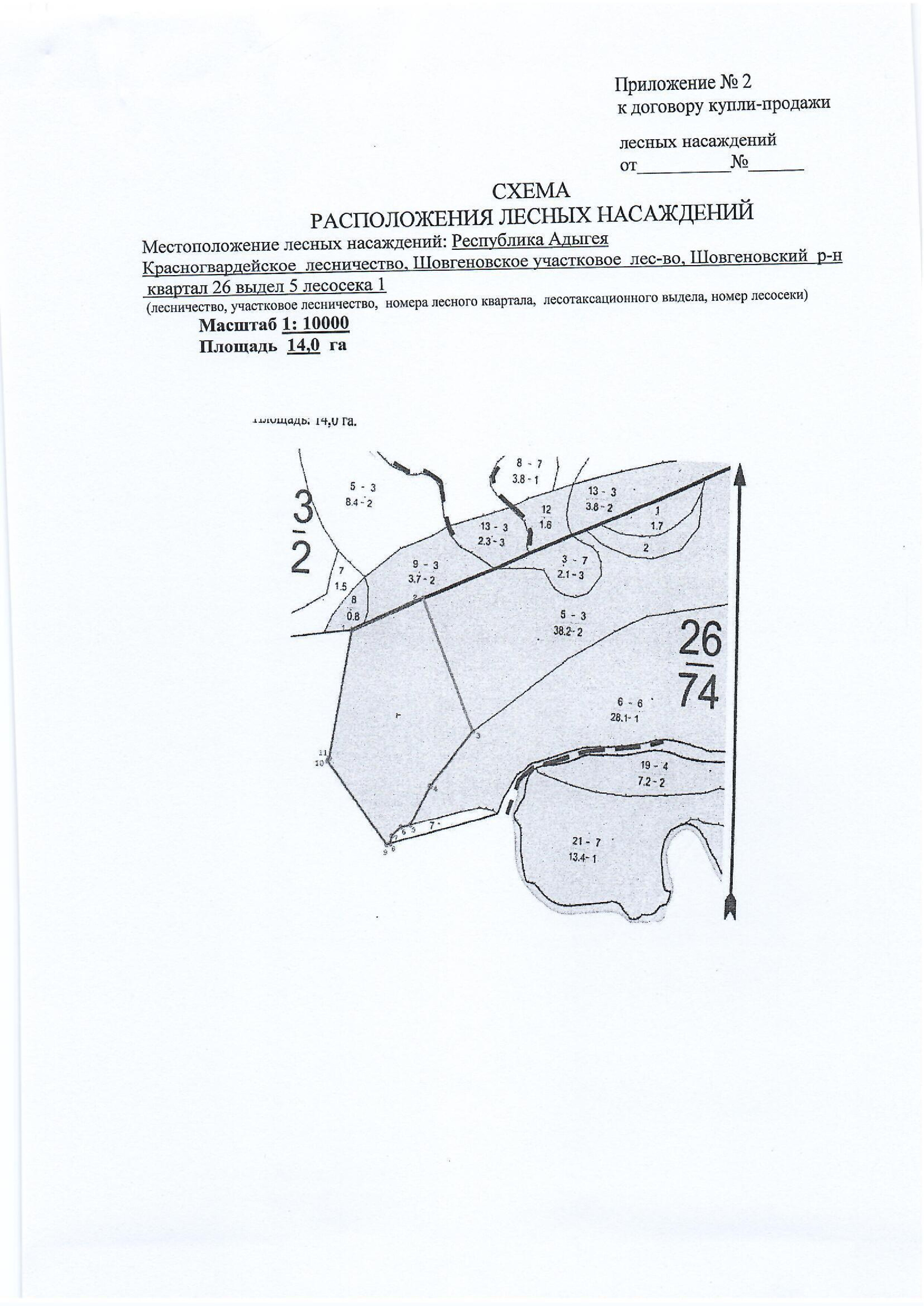 Лесные насаждения