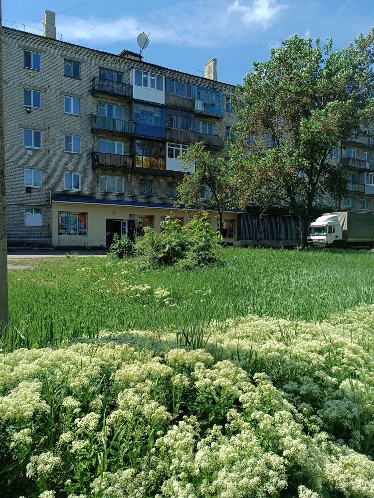 место для размещения нестационарного торгового объекта по адресу: Российская Федерация, Луганская Народная Республика, муниципальный округ Антрацитовский, пгт. Ивановка, ул. Октябрьская, в районе жилого дома № 58, площадью 32,0 кв. м.