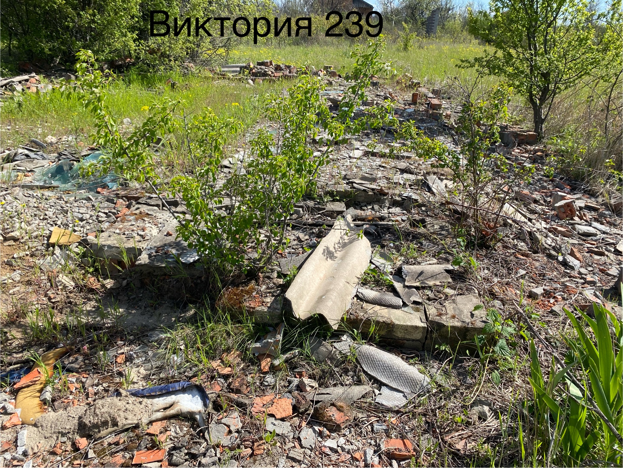 Продажа права на заключение договора аренды земельного участка, расположенного в г. Ейске, СТ «Виктория», участок 239