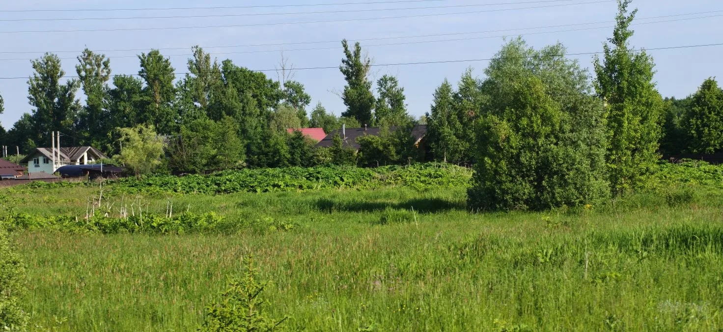 Аукцион в отношении земельного участка с КН 50:19:0040101:1150