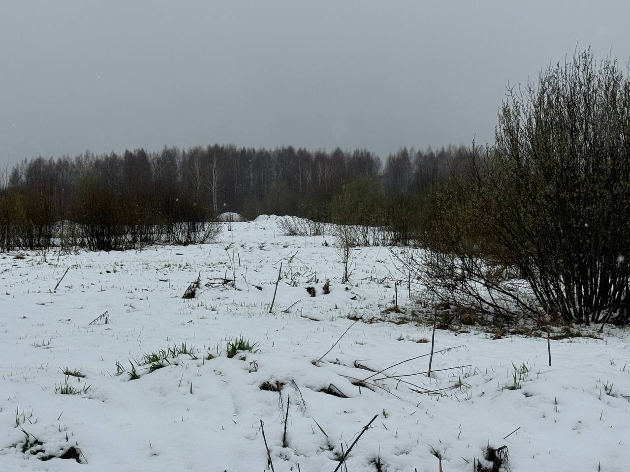 Аукцион в отношении земельного участка с КН 50:16:0401002:1041