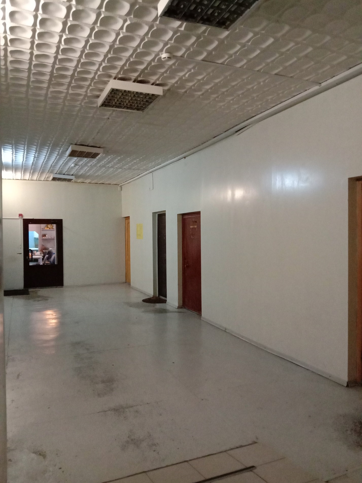 Нежилое помещение № 133 на 1 этаже площадью 19,1 кв.м в здании "Опытный завод" по адресу: г. Иркутск, ул. Старо-Кузьмихинская, 28