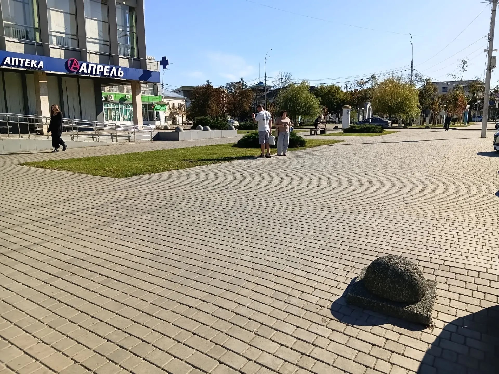 Размещение НТО елочный базар