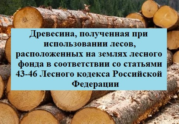 Древесина, которая получена при использовании лесов, расположенных на землях лесного фонда, в соответствии со статьями 43 - 46 Лесного кодекса Российской Федерации в соответствии с постановлением Правительства Российской Федерации от 23.07.2009 № 604