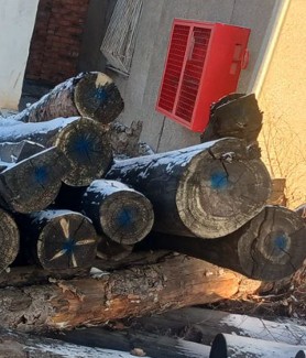 бревна сосновые для распиловки и строгания 18 шт Бревна лиственницы для распиловки и строгания 3 шт. (Перечень в документации)