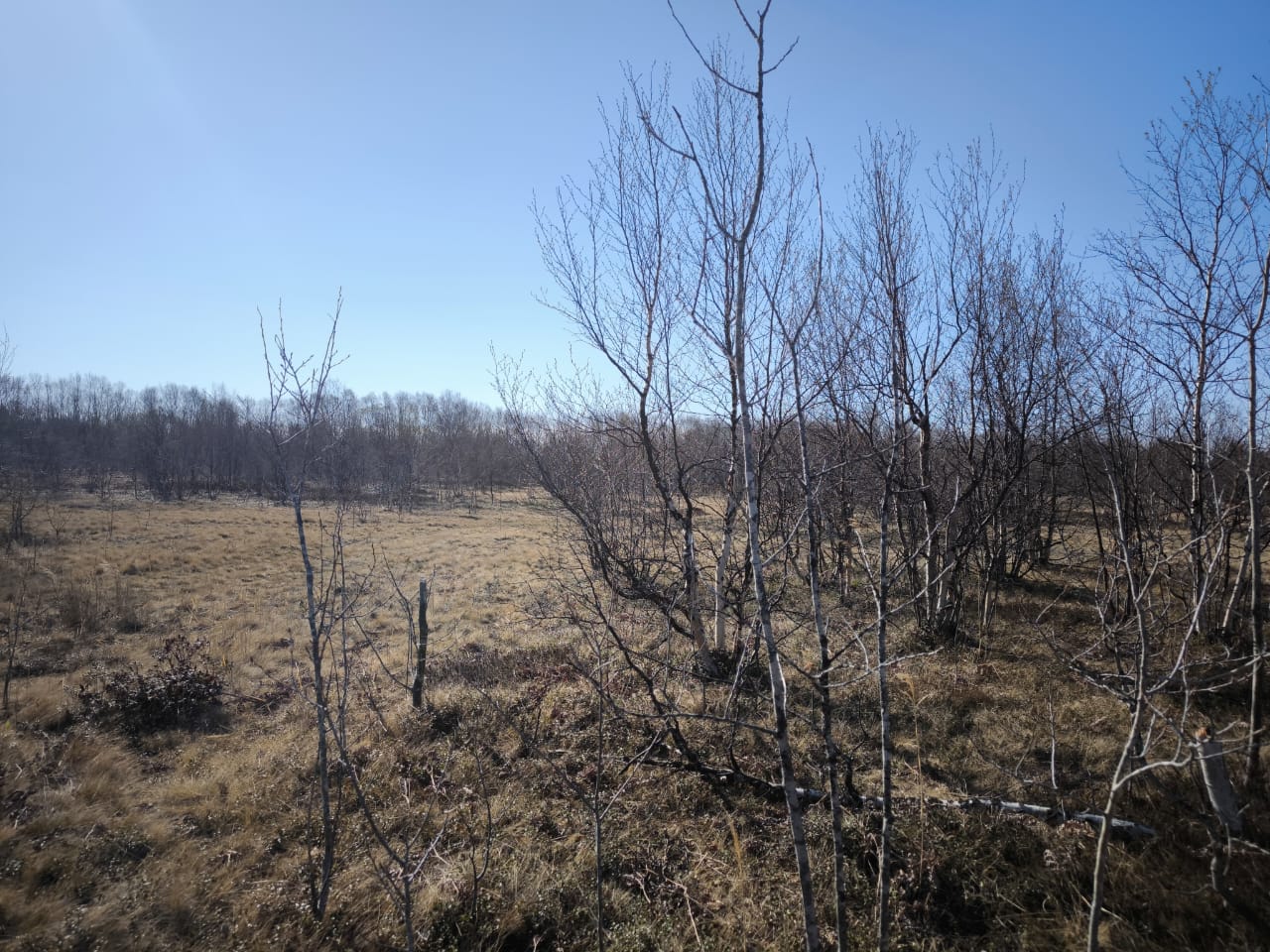 Лот № 4