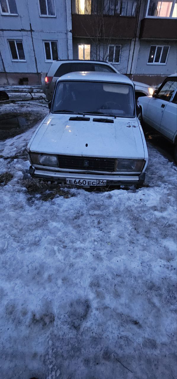 Автомобиль ВАЗ 21053, г/н Е660ЕС24, 1993г.в., VIN XTA210530R1423008, комплектность и состояние не проверялась данное имущество обращено в доход государства.Находится в г. Шарыпово (Документы отсутствуют)
