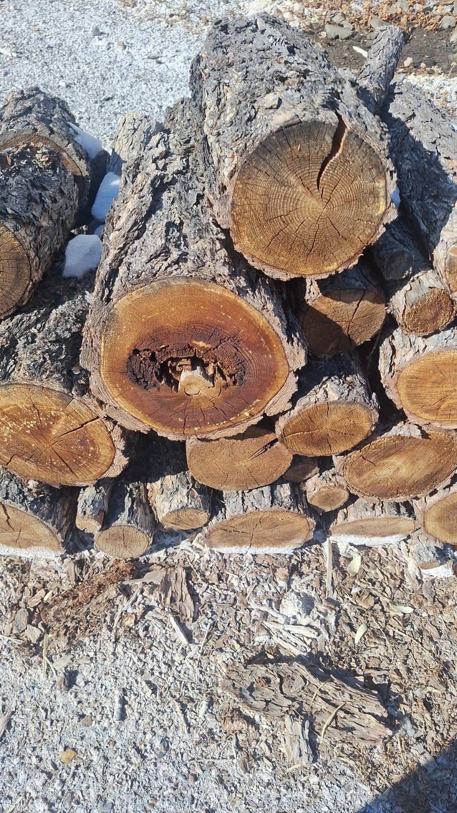 Бензопилы:Husqvarna 240,Stihl MS 180,Stihl MS 180,Huter,SТIHL MS 180/С,Husqvarna 240;Принтер НР DeskJet 2632,Ноутбук Lenovo 2 шт,Деревянные столбы 7шт,Дровяная древесина породы Лиственница 0,71 куб.м,Дровяная древесина породы Лиственница 2,39 куб.м,Деловая древесина сырорастущего дерева породы Лиственница 24 шт, Расчуркованные дрова 74 шт.