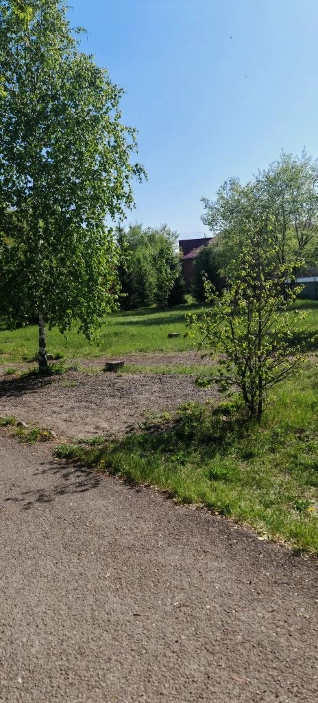 размещение нестационарного торгового объекта