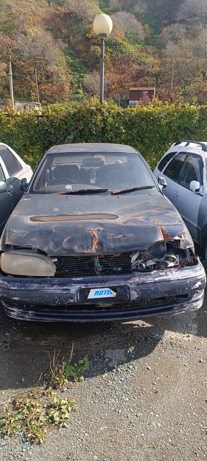 Автомобиль марки “Toyota Vista ” государственный номер М 159 ВХ 65