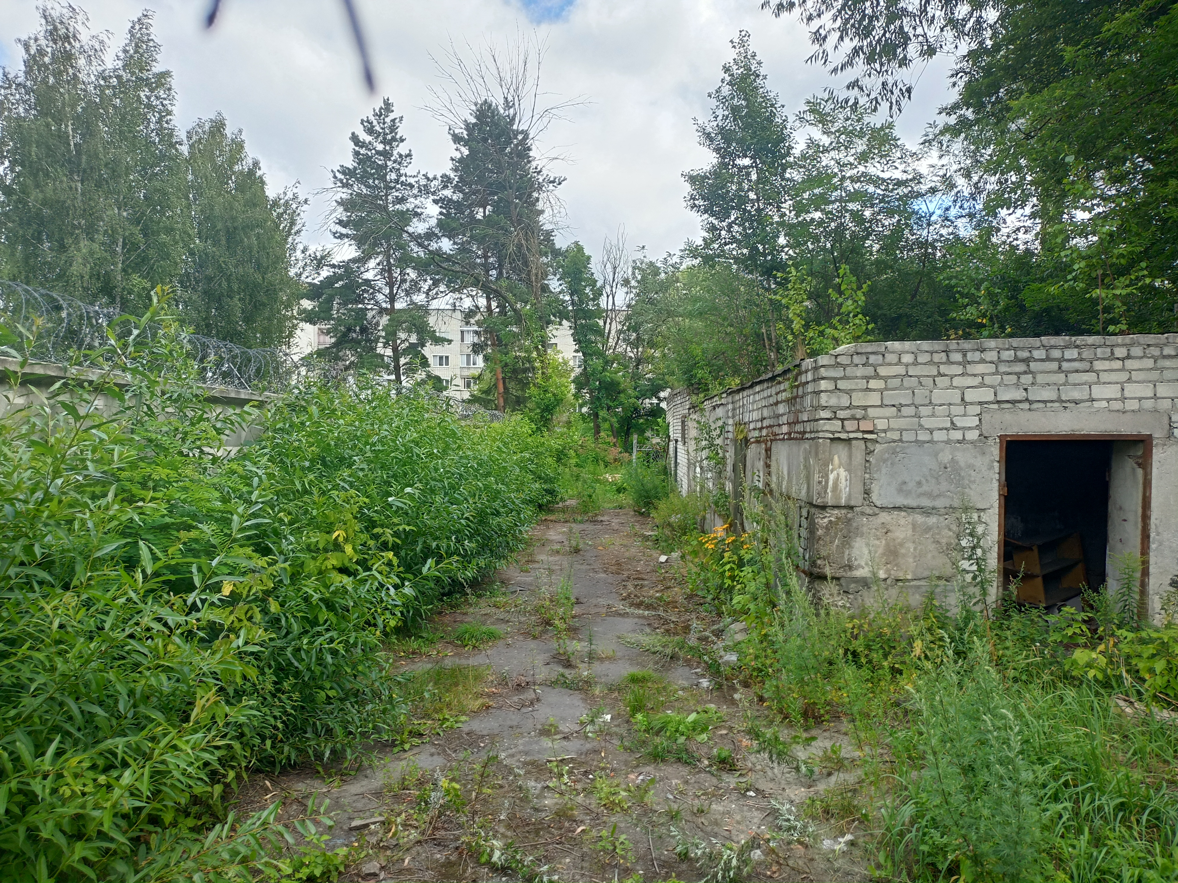 муниципальное нежилое здание площадью 196,7  кв.м, кадастровый номер 32:28:0021315:382, с земельным участком, необходимым для его использования, с кадастровым номером: 32:28:0021315:25, площадью 830 кв.м, с видом разрешенного использования: бытовое обслуживание, расположенные по адресу: Брянская область, городской округ город Брянск, город Брянск, улица Клары Цеткин, строение 12 В