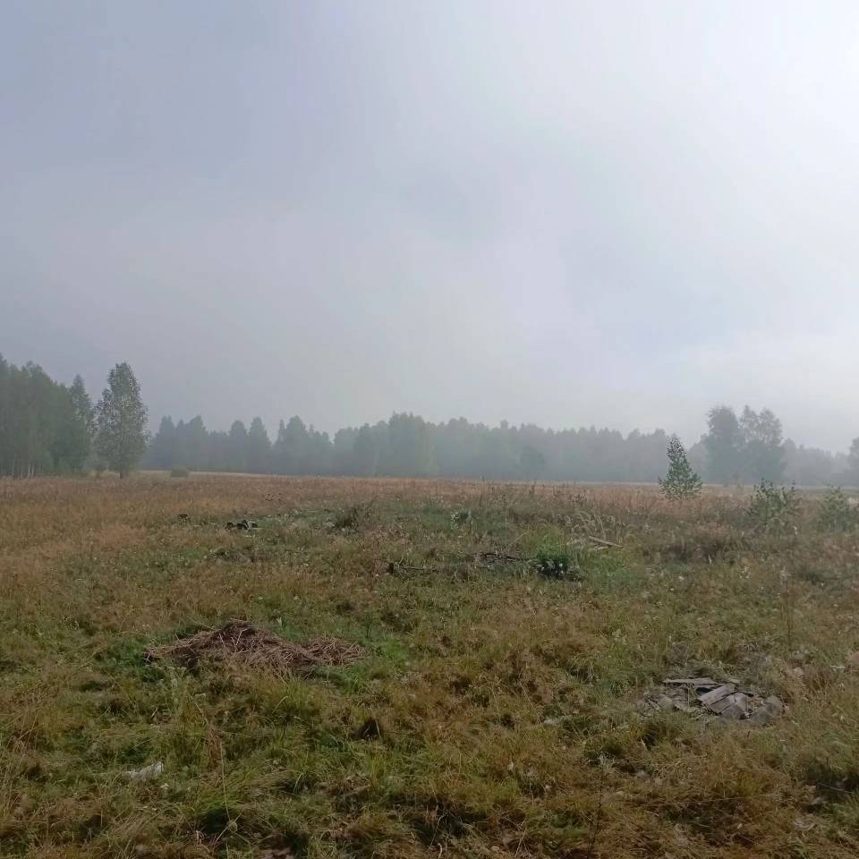 Земельный участок площадью 300126 кв. м с кадастровым номером 32:04:0010102:234, расположенный: Российская Федерация, Брянская область, Гордеевский муниципальный район, Уношевское сельское поселение, СПК "Колос" (бывшее схп "Уношевское") с/х пай, категория земель: земли сельскохозяйственного назначения, разрешенное использование: для сельскохозяйственного производства